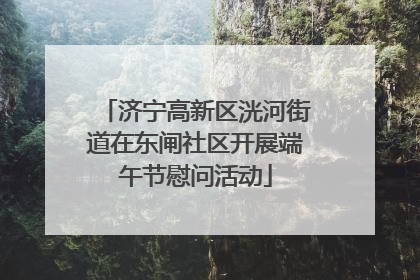 济宁高新区洸河街道在东闸社区开展端午节慰问活动