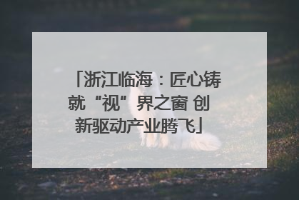 浙江临海：匠心铸就“视”界之窗 创新驱动产业腾飞