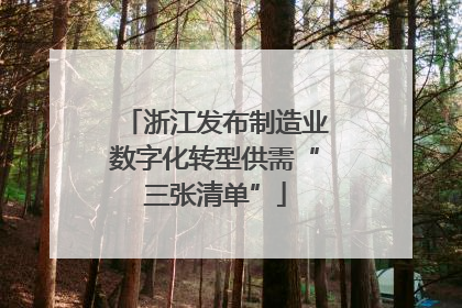 浙江发布制造业数字化转型供需“三张清单”