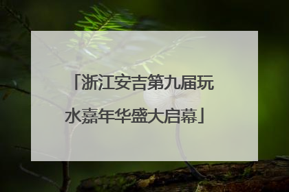浙江安吉第九届玩水嘉年华盛大启幕