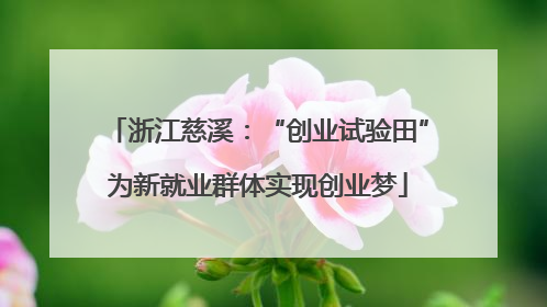 浙江慈溪：“创业试验田”为新就业群体实现创业梦