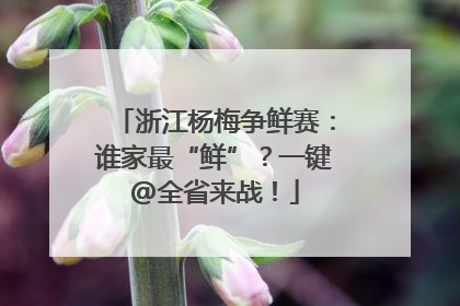 浙江杨梅争鲜赛：谁家最“鲜”？一键@全省来战！