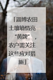 淄博农田土壤墒情亮“黄牌”，农户需关注这些应对措施