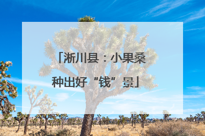 淅川县：小果桑种出好“钱”景