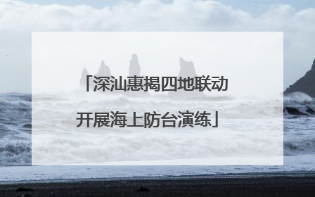 深汕惠揭四地联动开展海上防台演练