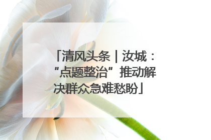 清风头条｜汝城：“点题整治”推动解决群众急难愁盼