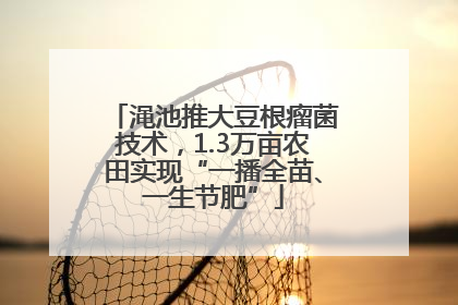 渑池推大豆根瘤菌技术，1.3万亩农田实现“一播全苗、一生节肥”