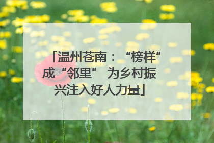温州苍南：“榜样”成“邻里” 为乡村振兴注入好人力量
