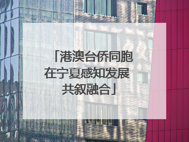 港澳台侨同胞在宁夏感知发展 共叙融合
