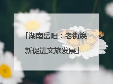 湖南岳阳：老街焕新促进文旅发展