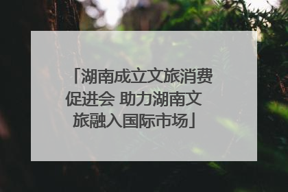 湖南成立文旅消费促进会 助力湖南文旅融入国际市场