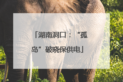 湖南洞口：“孤岛”破晓保供电