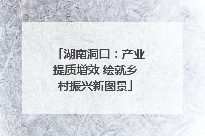 湖南洞口：产业提质增效 绘就乡村振兴新图景