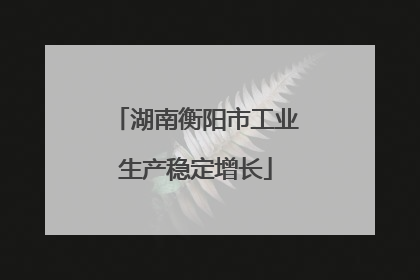 湖南衡阳市工业生产稳定增长