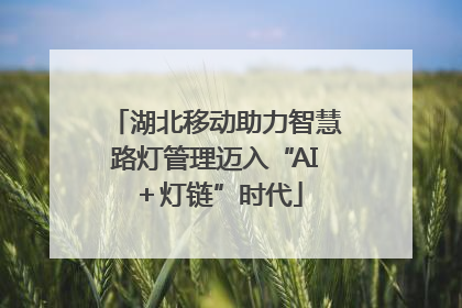 湖北移动助力智慧路灯管理迈入“AI＋灯链”时代