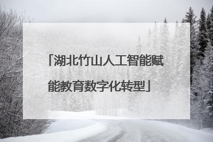 湖北竹山人工智能赋能教育数字化转型