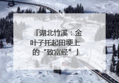 湖北竹溪：金叶子托起田埂上的“致富经”