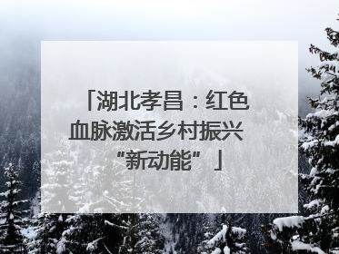 湖北孝昌：红色血脉激活乡村振兴“新动能”