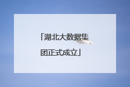 湖北大数据集团正式成立