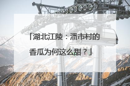 湖北江陵：潘市村的香瓜为何这么甜？