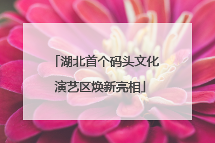 湖北首个码头文化演艺区焕新亮相