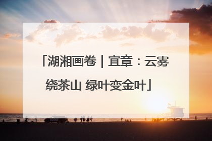 湖湘画卷｜宜章：云雾绕茶山 绿叶变金叶