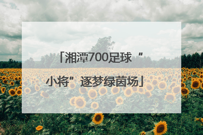湘潭700足球“小将”逐梦绿茵场