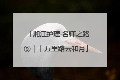 湘江护理·名师之路⑨｜十万里路云和月