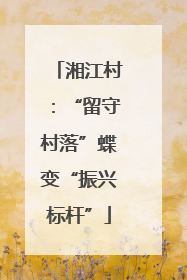 湘江村：“留守村落”蝶变“振兴标杆”