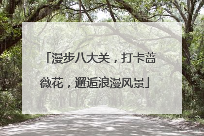 漫步八大关，打卡蔷薇花，邂逅浪漫风景