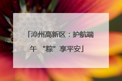 漳州高新区：护航端午 “粽”享平安
