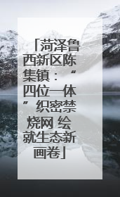 菏泽鲁西新区陈集镇：“四位一体”织密禁烧网 绘就生态新画卷
