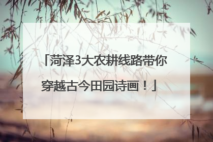 菏泽3大农耕线路带你穿越古今田园诗画！