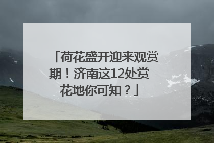 荷花盛开迎来观赏期！济南这12处赏花地你可知？