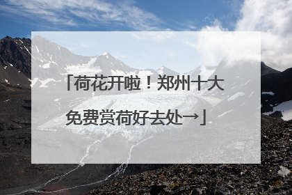 荷花开啦！郑州十大免费赏荷好去处→