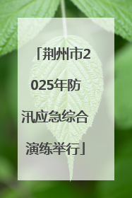 荆州市2025年防汛应急综合演练举行