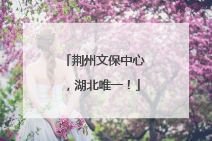 荆州文保中心，湖北唯一！