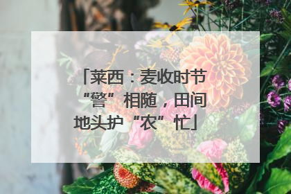 莱西：麦收时节“警”相随，田间地头护“农”忙