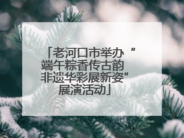 老河口市举办“端午粽香传古韵 非遗华彩展新姿”展演活动