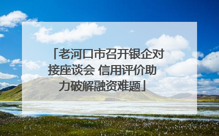 老河口市召开银企对接座谈会 信用评价助力破解融资难题