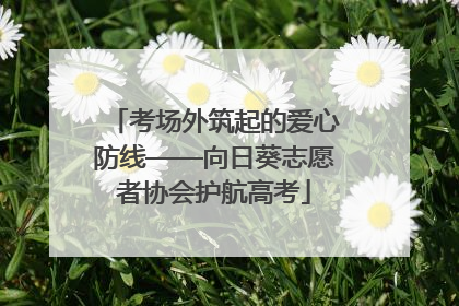 考场外筑起的爱心防线——向日葵志愿者协会护航高考
