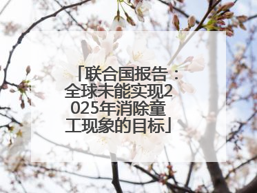 联合国报告：全球未能实现2025年消除童工现象的目标