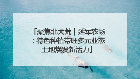 聚焦北大荒｜延军农场：特色种植带旺多元业态 土地焕发新活力