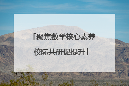 聚焦数学核心素养 校际共研促提升