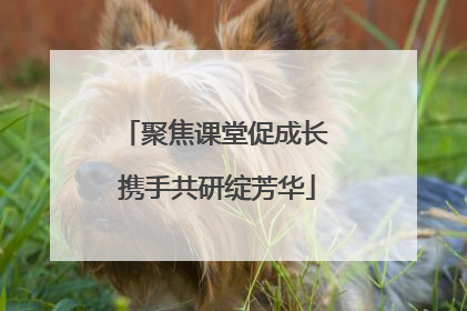 聚焦课堂促成长 携手共研绽芳华