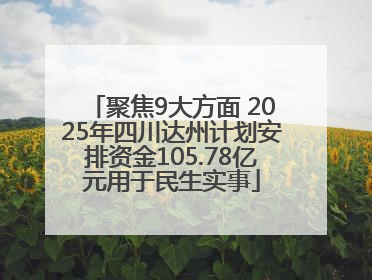 聚焦9大方面 2025年四川达州计划安排资金105.78亿元用于民生实事