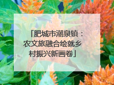 肥城市潮泉镇：农文旅融合绘就乡村振兴新画卷