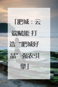 肥城：云端赋能 打造“肥城好品”强农引擎