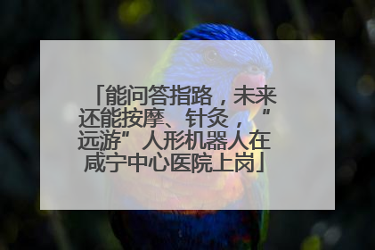 能问答指路，未来还能按摩、针灸，“远游”人形机器人在咸宁中心医院上岗