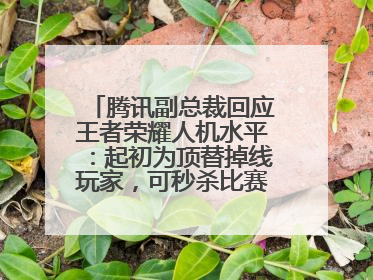 腾讯副总裁回应王者荣耀人机水平：起初为顶替掉线玩家，可秒杀比赛级玩家